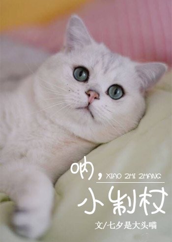 吶，小制杖