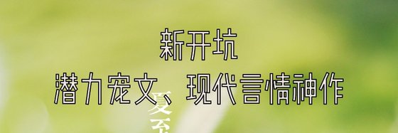 新開坑的潛力寵文、現代言情神作